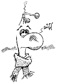 Schnubbn